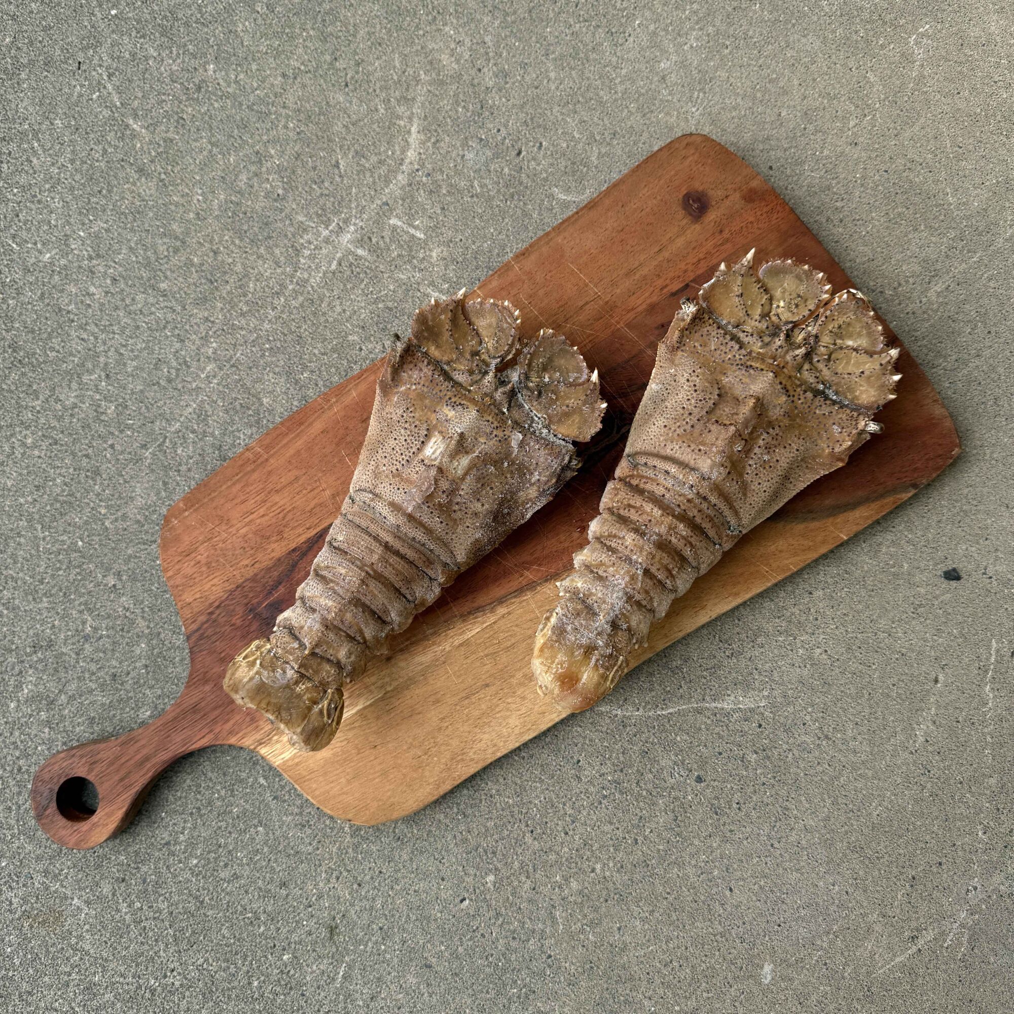 Morton Bay Bug (Frozen) Each